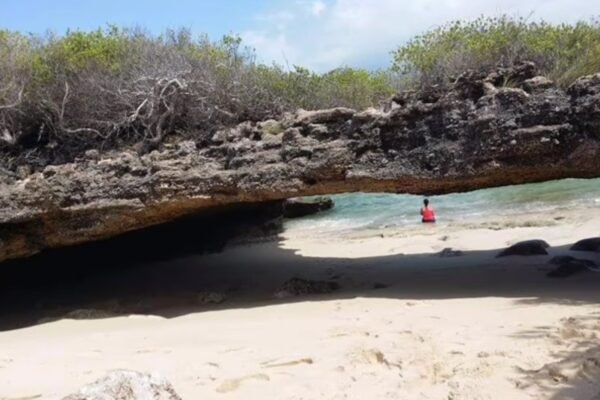 PROGRAMA LOCAL: Degradação ambiental pode passar à história na Ilha de Moçambique